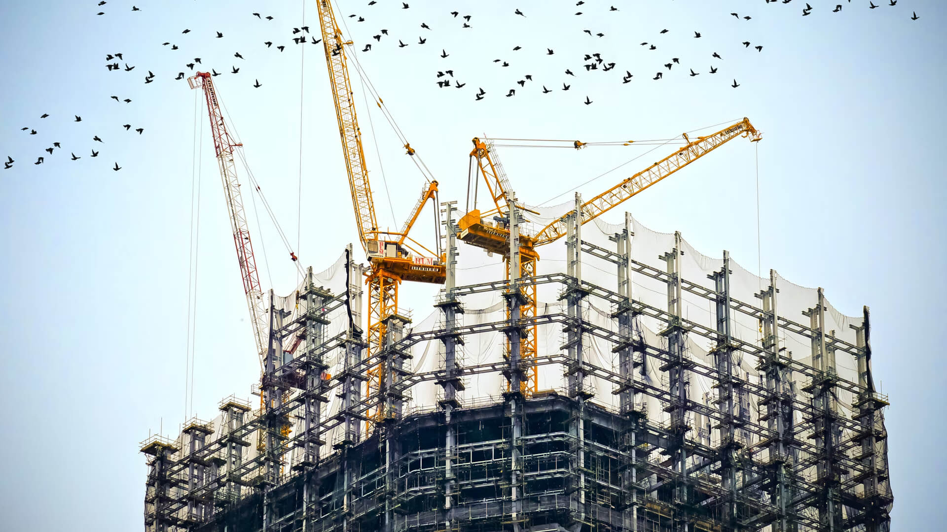 Almacen de Materiales de Construccion